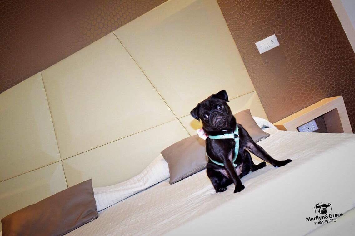 Hotel Principe ริมินี ภายนอก รูปภาพ