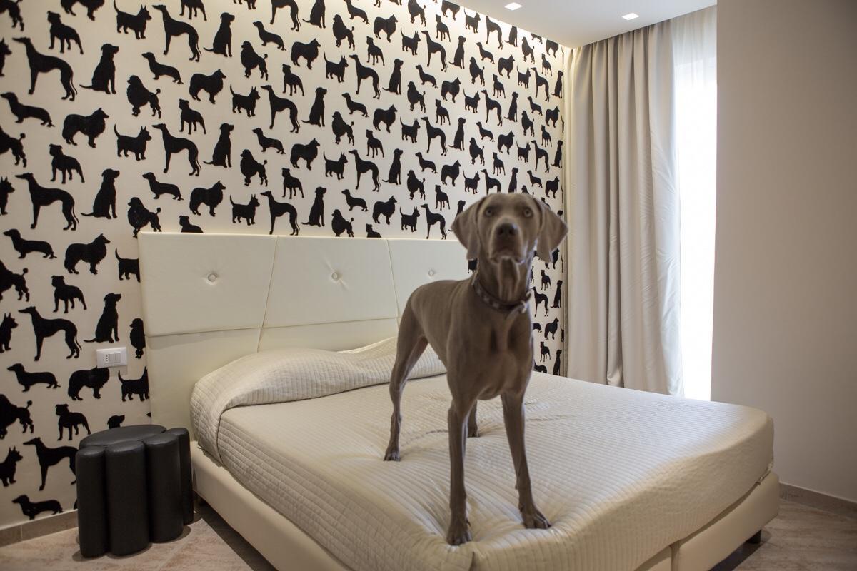 Hotel Principe ริมินี ภายนอก รูปภาพ